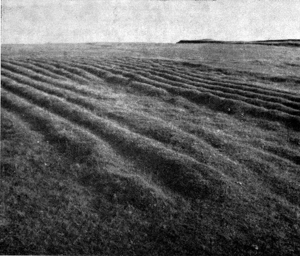 ss1 120 1 lestagotur