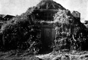 ss1 213 1 thuridarbud