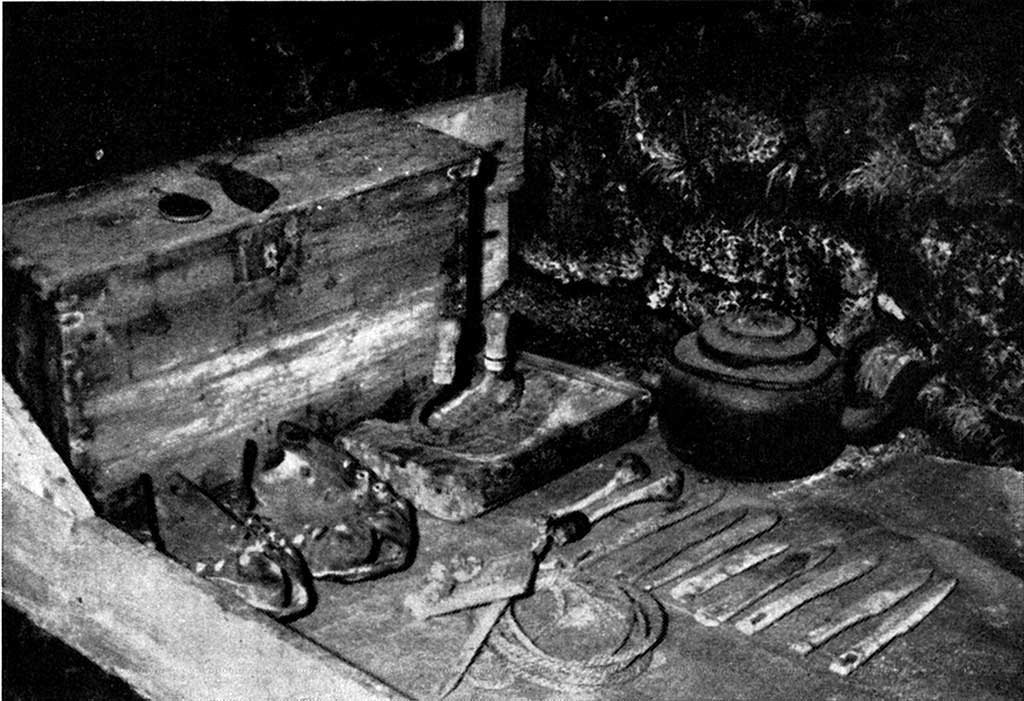 ss1 215 1 ur thuridarbud