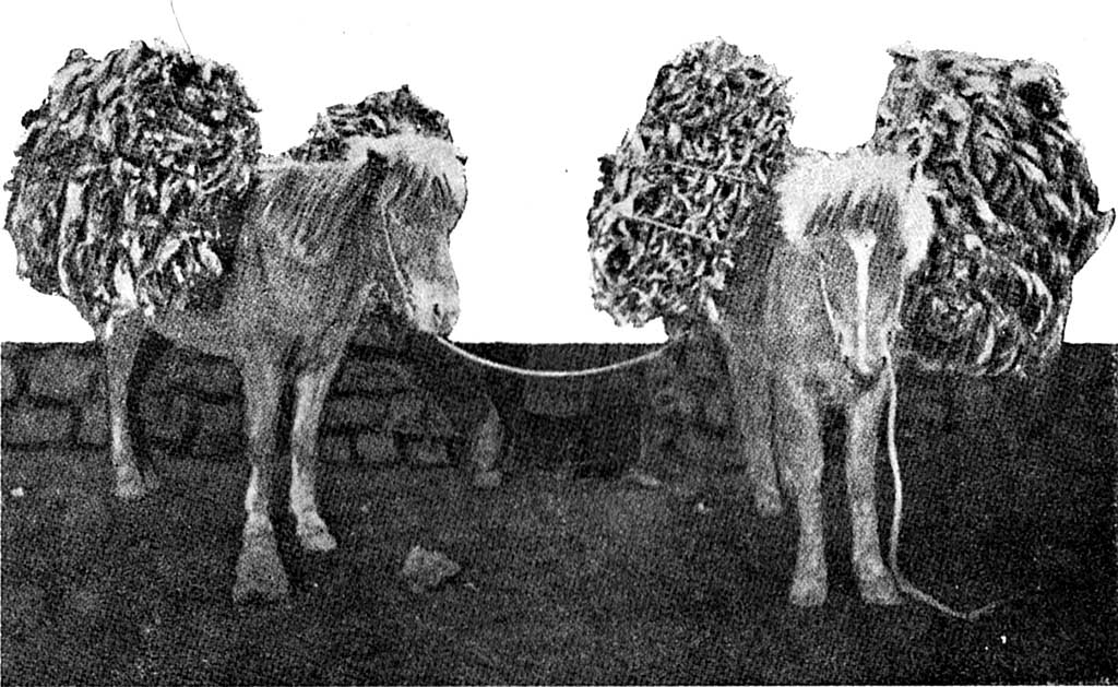 ss1 231 1 thoskhausabaggar