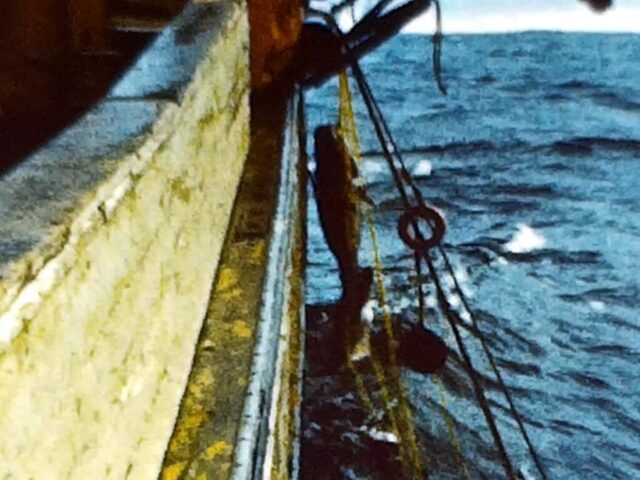 Myndskeið tekið af Guðna Sturlaugssyni frá Stokkseyri